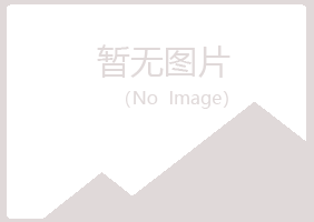 垫江县初夏能源有限公司